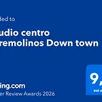 Estudio Centro Down Town 아파트 토레몰리노스